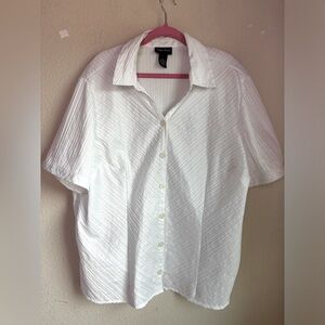 Maggie Barnes White Stripe Pleated Short Sleeve Button Down Blouse 2X 22/24W